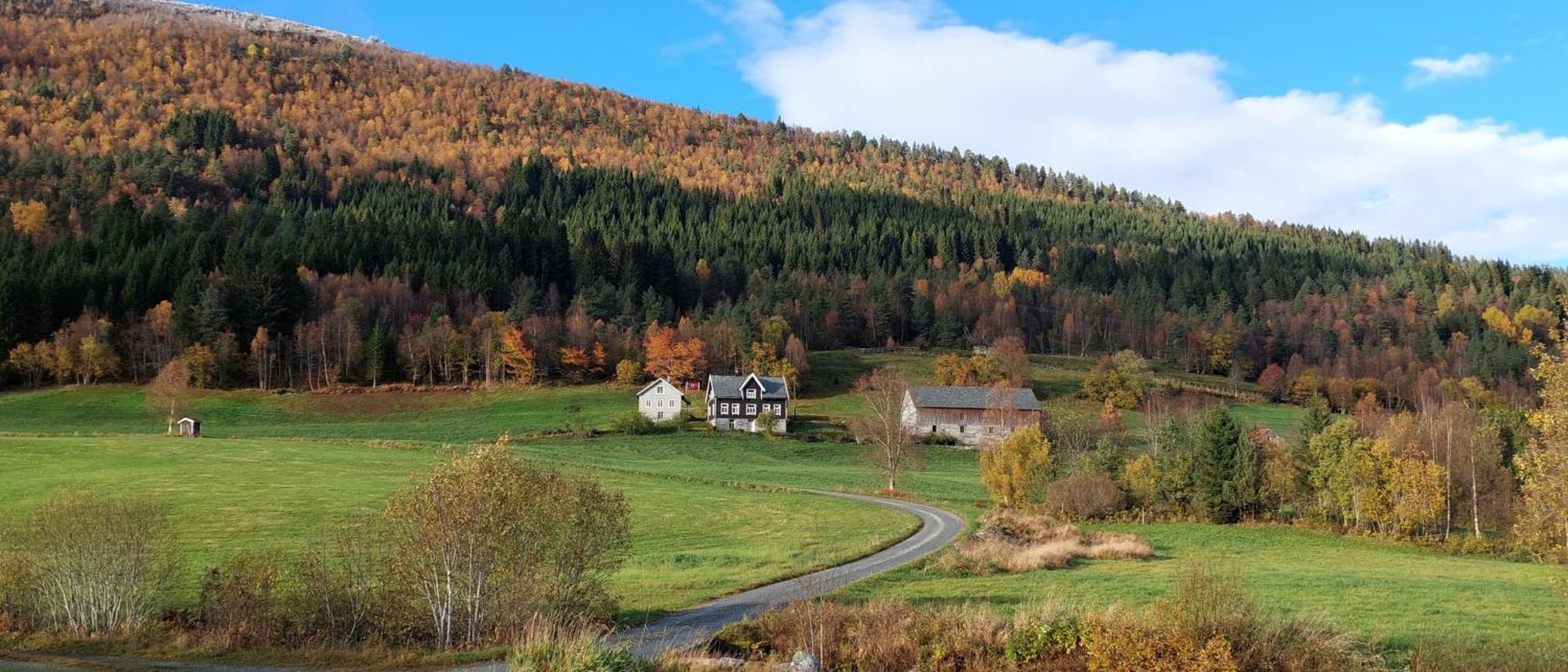 Heggjabygda Gjestegard, Nordfjordeid Eksteriør billede